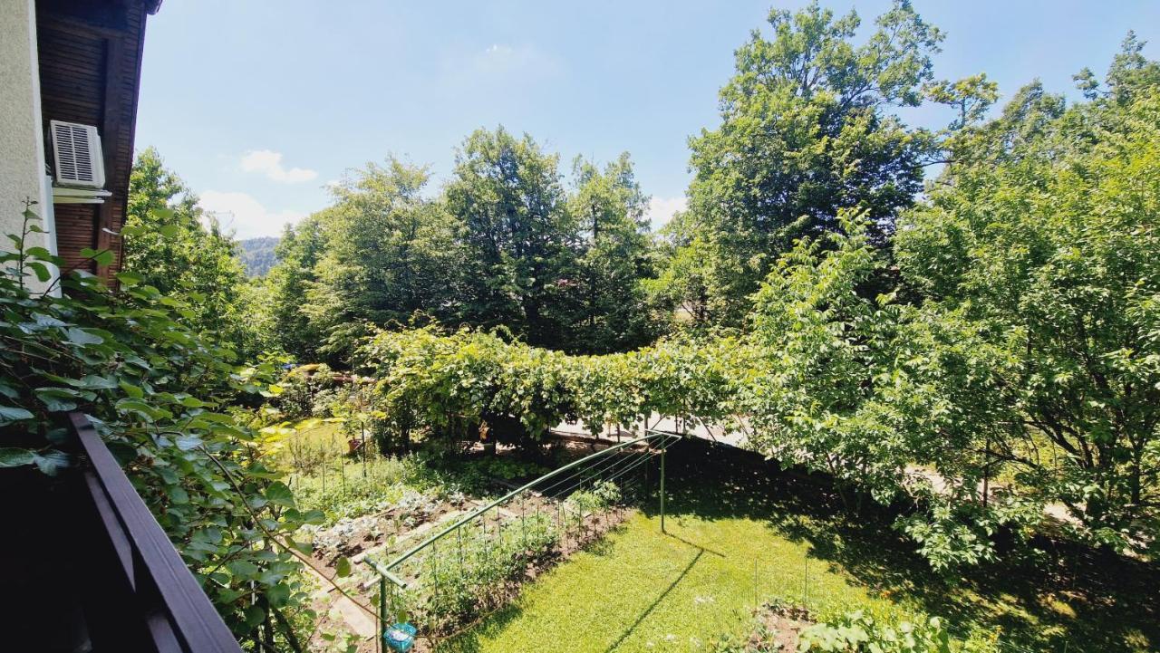 Family House In The Vicinity Of Ljubljana Apartment Logatec Exterior foto